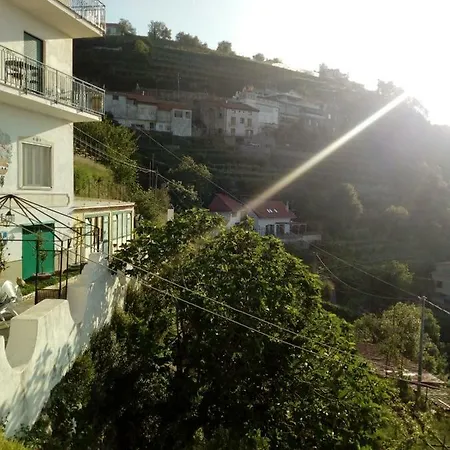 Il Vigneto