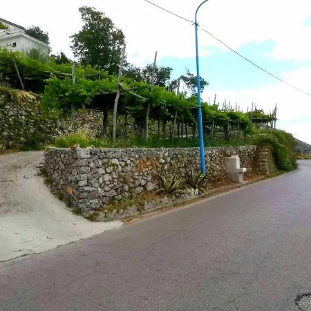 Apartment Il Vigneto *